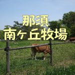 入場無料の南ヶ丘牧場に子連れで行ってきた!那須のおすすめスポット