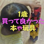 【1歳】買ってよかった本や玩具!知育効果あり&反応の良かったもの