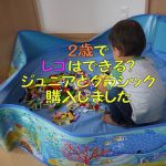 2歳からのレゴ!デュプロを飛ばしてレゴジュニアとクラシック購入