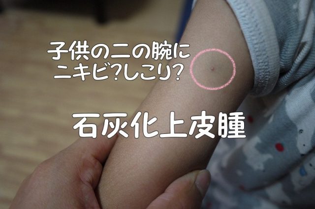 ダブルベッドに親子三人は狭い 追加購入はベッドか布団か考えてみた Rebyuno レビュノ ダブルベッドに親子三人は狭い 追加購入はベッドか布団か考えてみた Rebyuno レビュノ