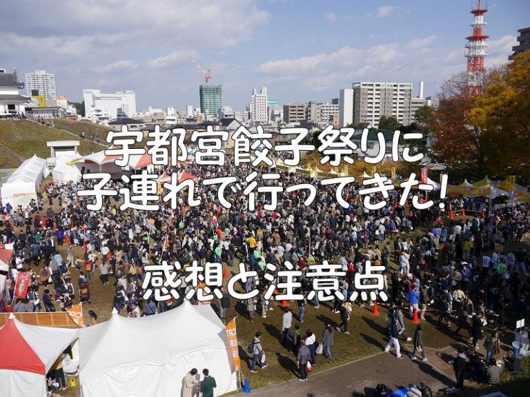 宇都宮餃子祭りに子連れで行ってきた 混雑は問題なし 感想と注意点 ちえのて