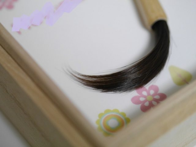 薄毛息子でも赤ちゃん筆が作れた くせ毛を残せる胎毛筆レビュー ちえのて