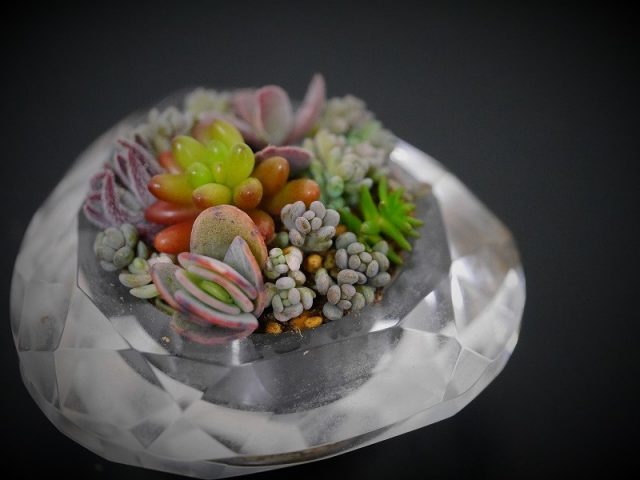 多肉植物でちまちま寄せを作ってみた ザックリと作り方を紹介します Chie Note